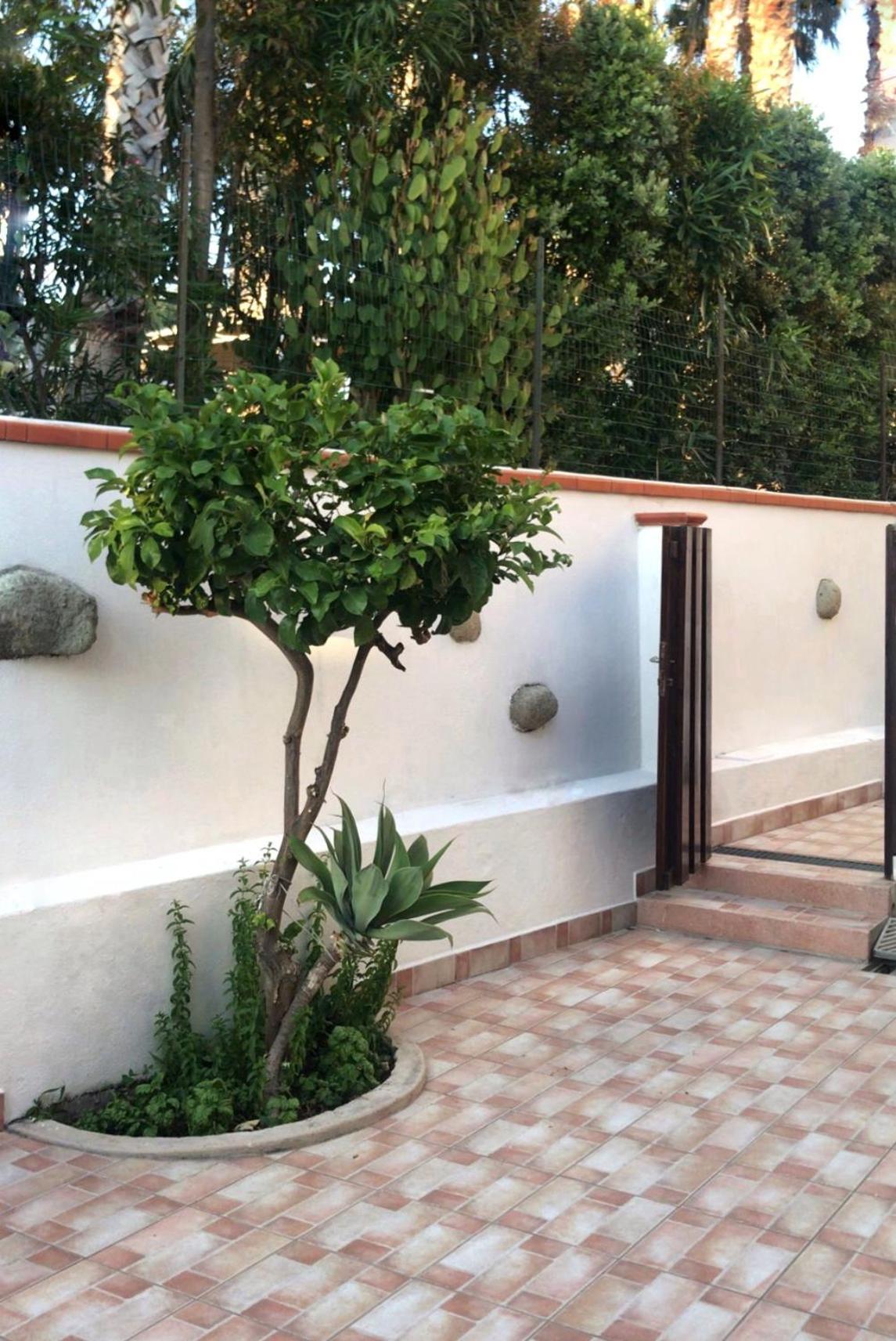 La Turrita Apartments Forio di Ischia Exterior foto